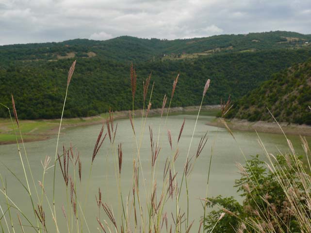 P1050598