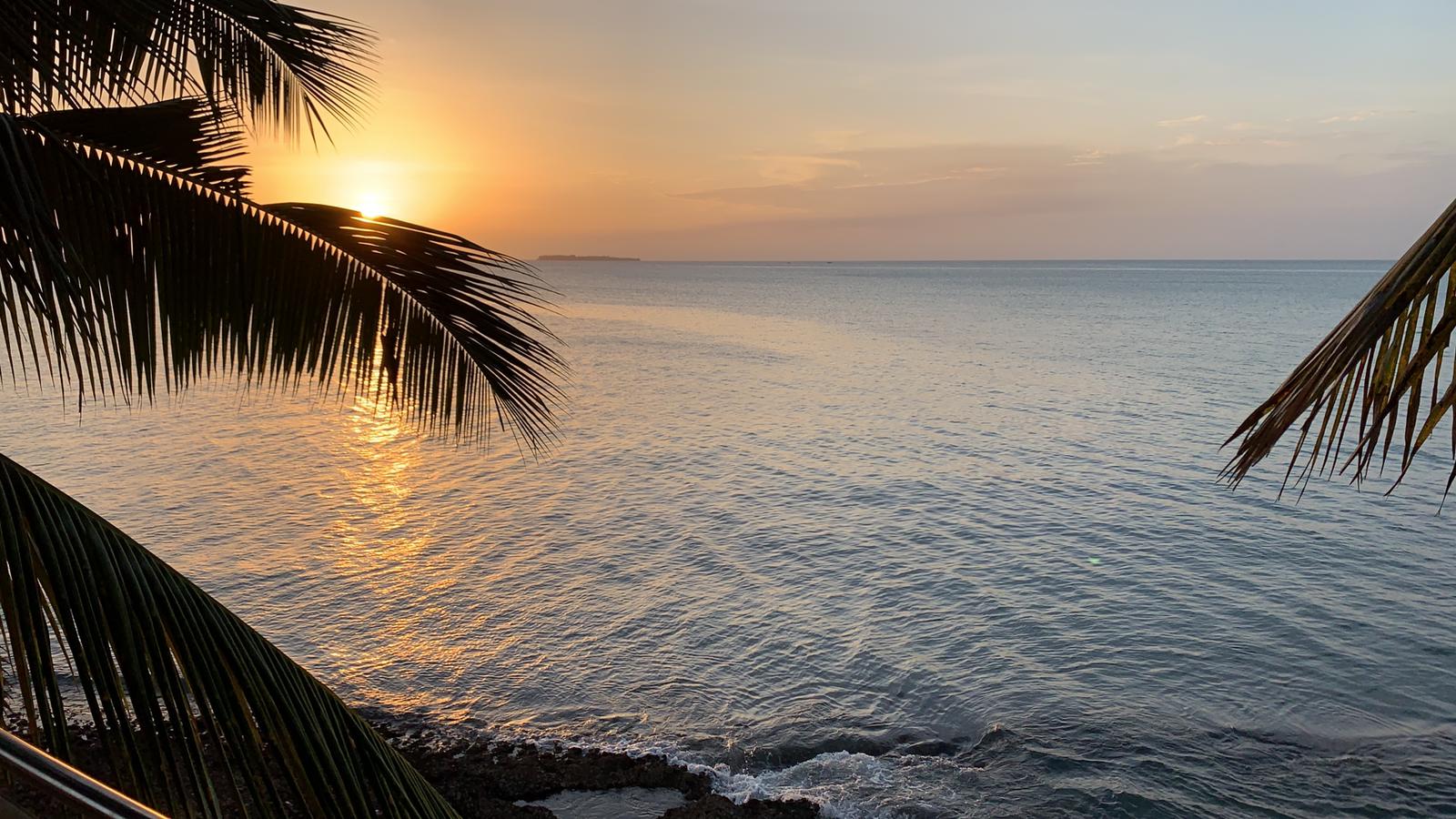 Télből A Nyárba (Tanzánia, Zanzibár) Március 13-26